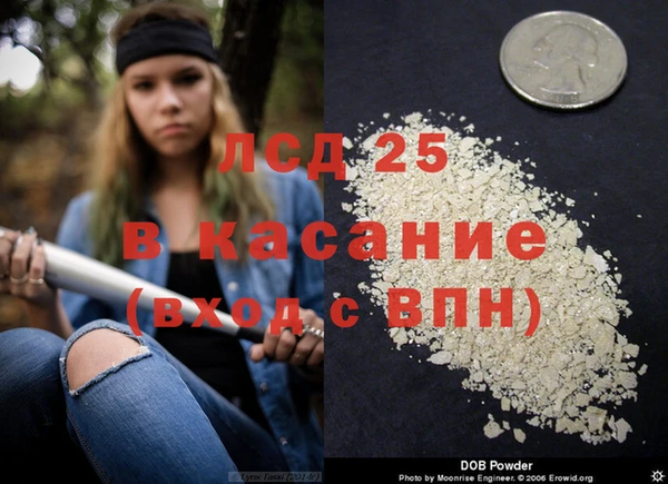 прущие крисы Баксан