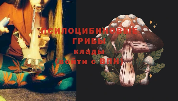прущие крисы Баксан