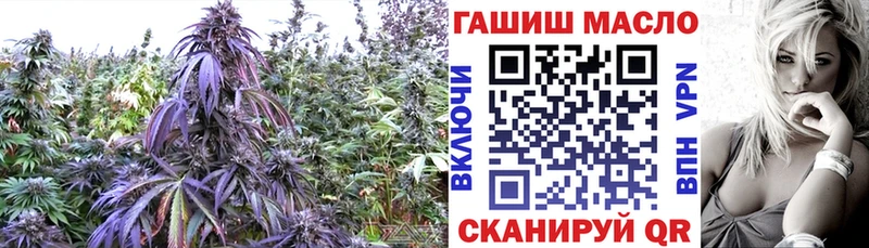 наркотики Вуктыл МЕГА зеркало ТГК Wax